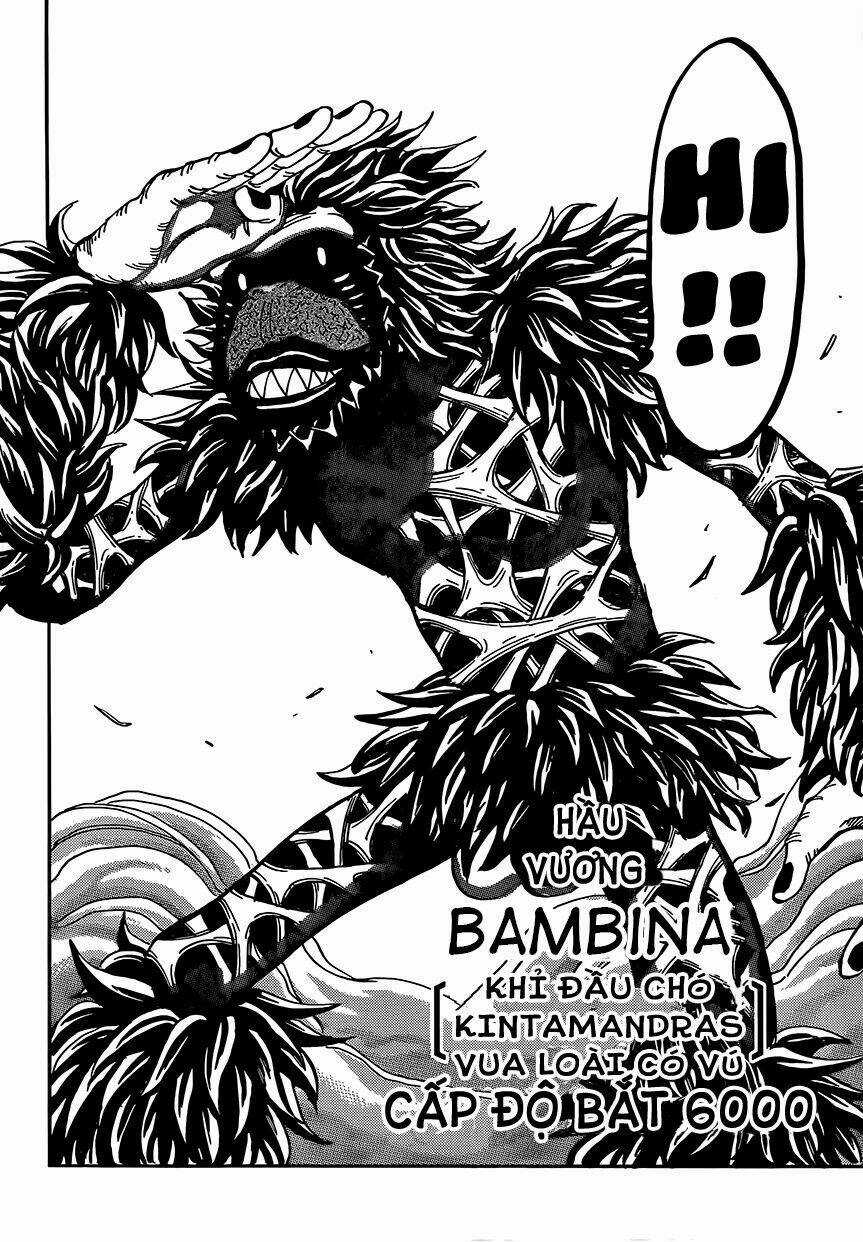 Thợ Săn Ẩm Thực - Chapter 303 - Trang 9