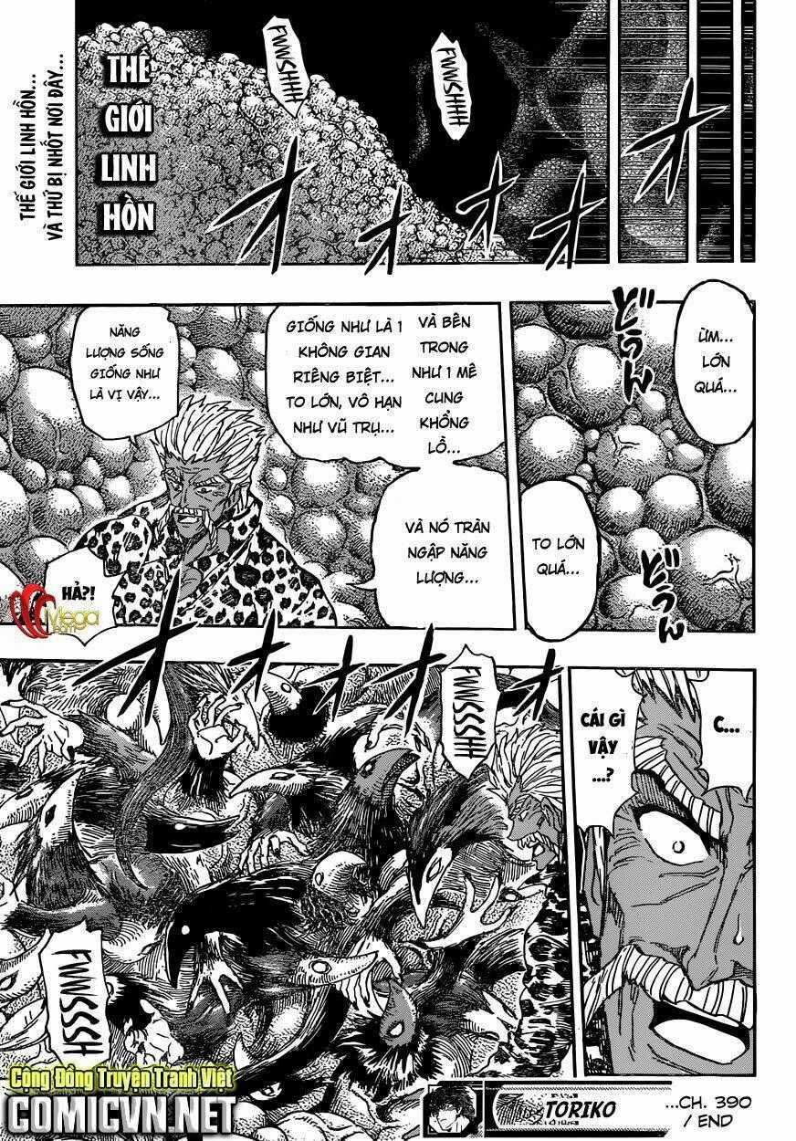 Thợ Săn Ẩm Thực - Chapter 390 - Trang 19