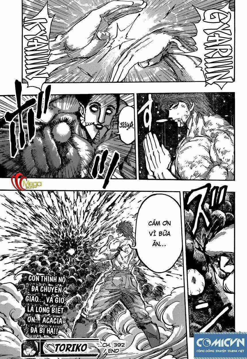 Thợ Săn Ẩm Thực - Chapter 392 - Trang 19