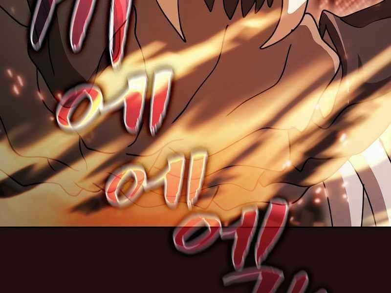 Thợ Săn Kỳ Ảo - Chapter 29 - Trang 202