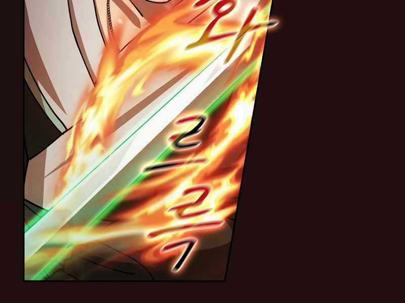 Thợ Săn Kỳ Ảo - Chapter 29 - Trang 214