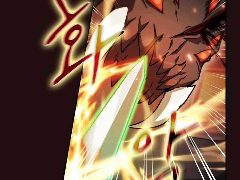 Thợ Săn Kỳ Ảo - Chapter 29 - Trang 216