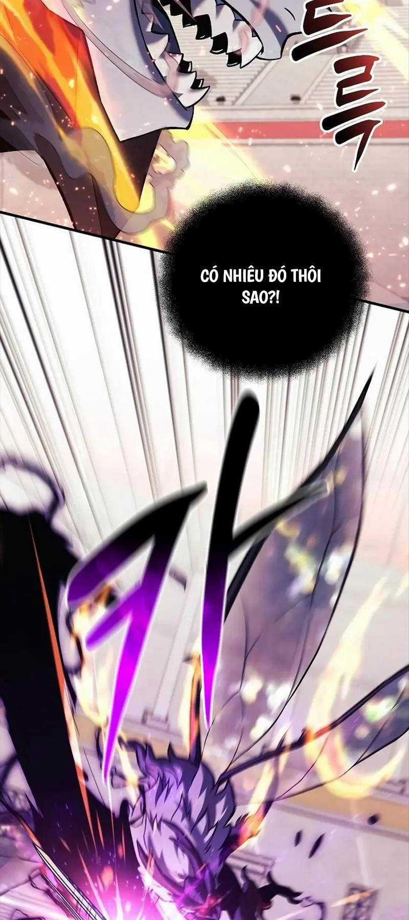 Thợ Săn Nhà Văn - Chapter 101 - Trang 11