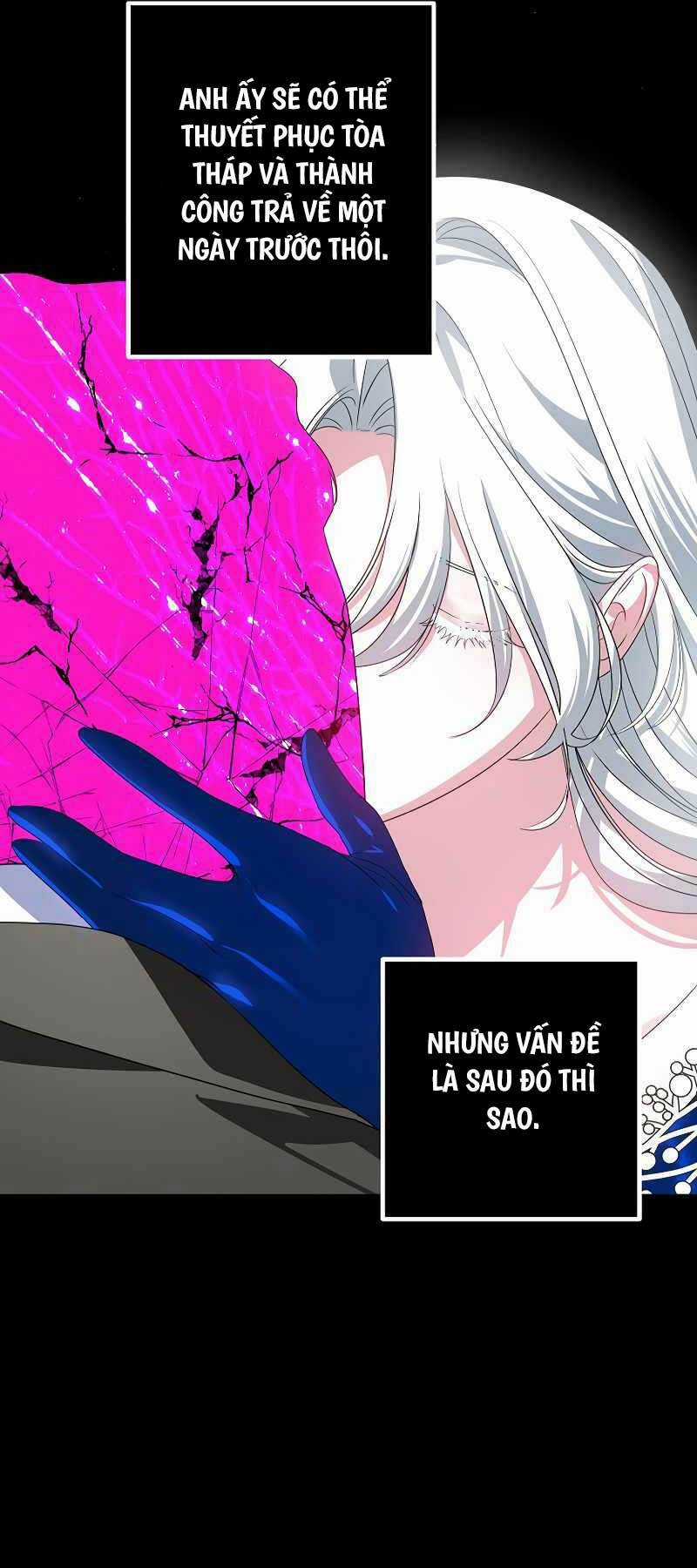 Thợ Săn Tự Sát Cấp Sss - Chapter 105 - Trang 13