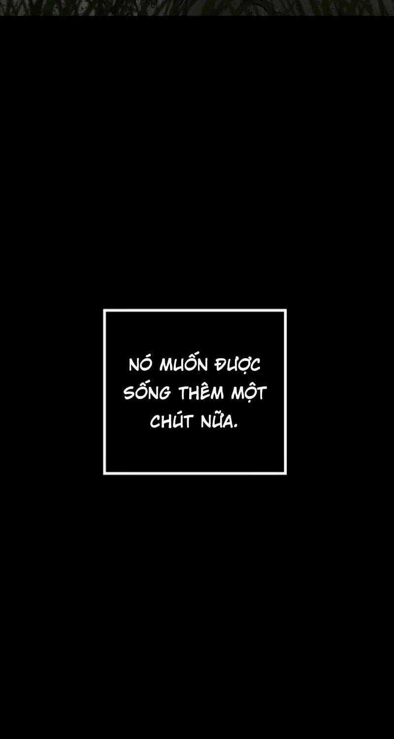 Thợ Săn Tự Sát Cấp Sss - Chapter 34 - Trang 11