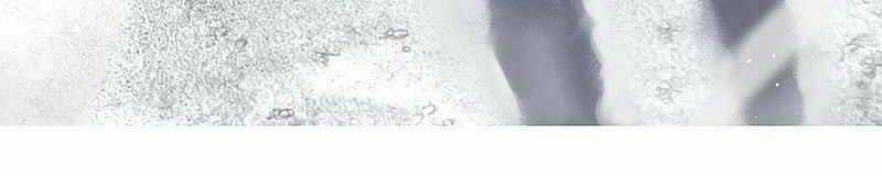 Thợ Săn Tự Sát Cấp Sss - Chapter 54 - Trang 92