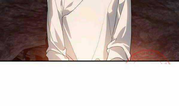 Thợ Săn Tự Sát Cấp Sss - Chapter 59 - Trang 97