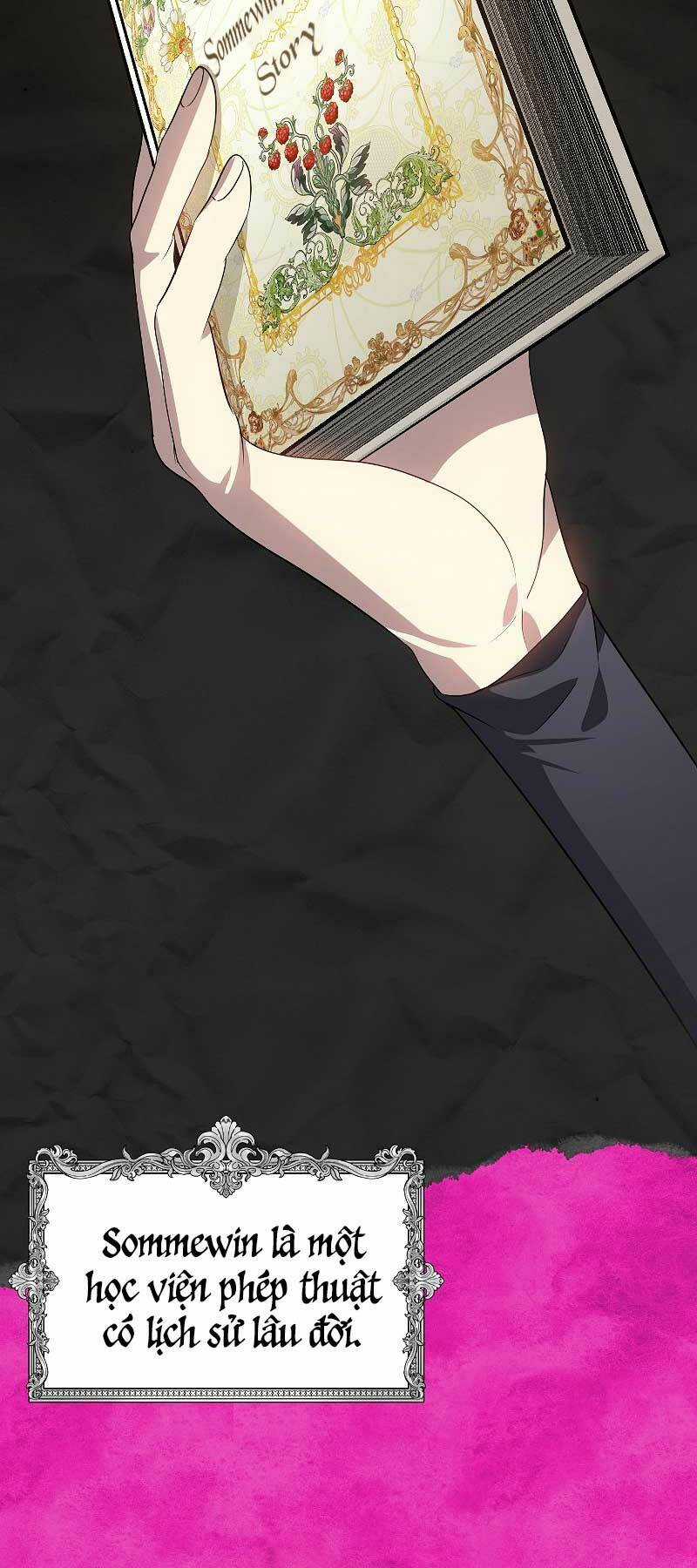 Thợ Săn Tự Sát Cấp Sss - Chapter 84 - Trang 2