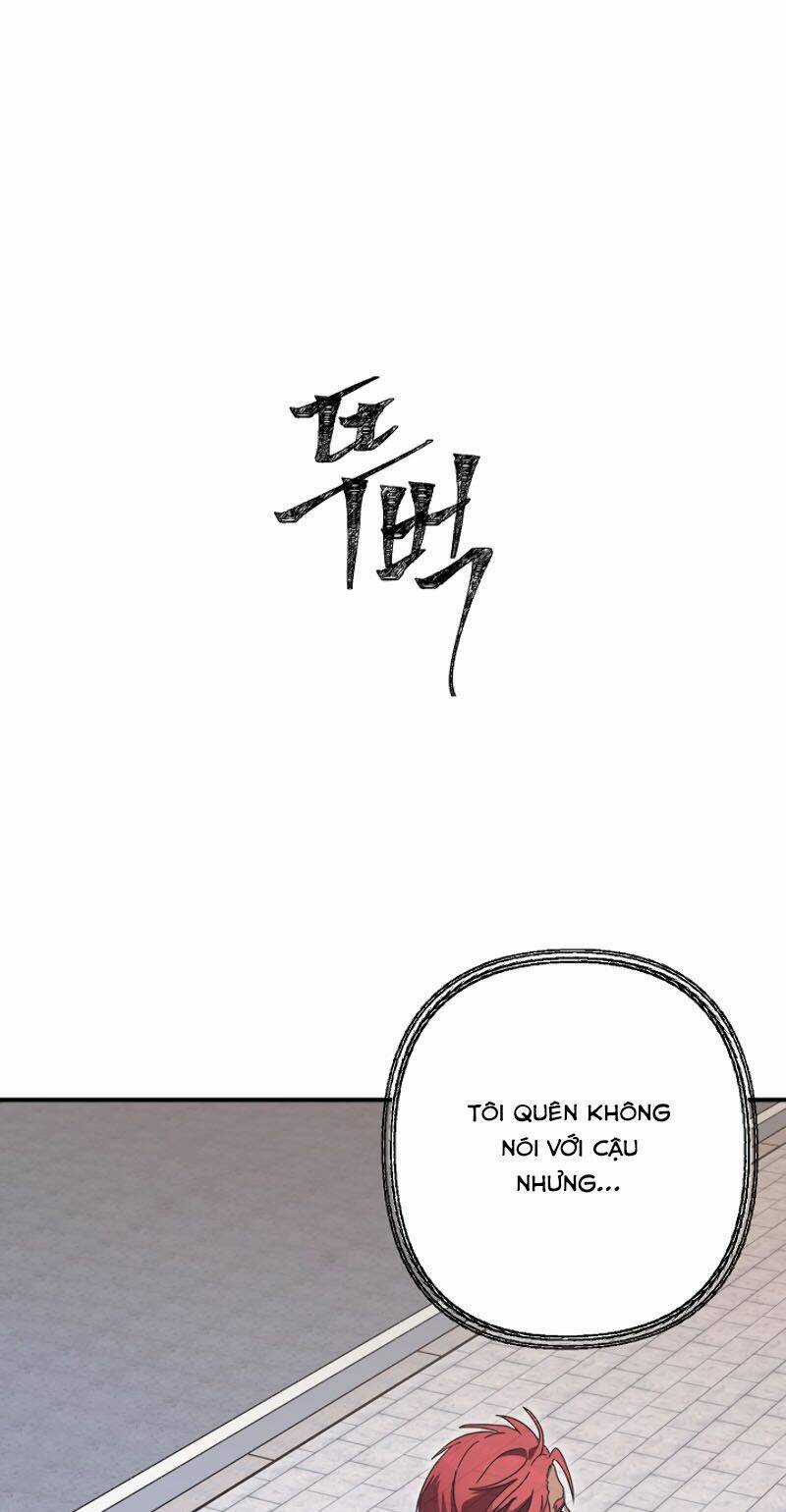 Thợ Săn Tự Sát Cấp Sss - Chapter 9 - Trang 19