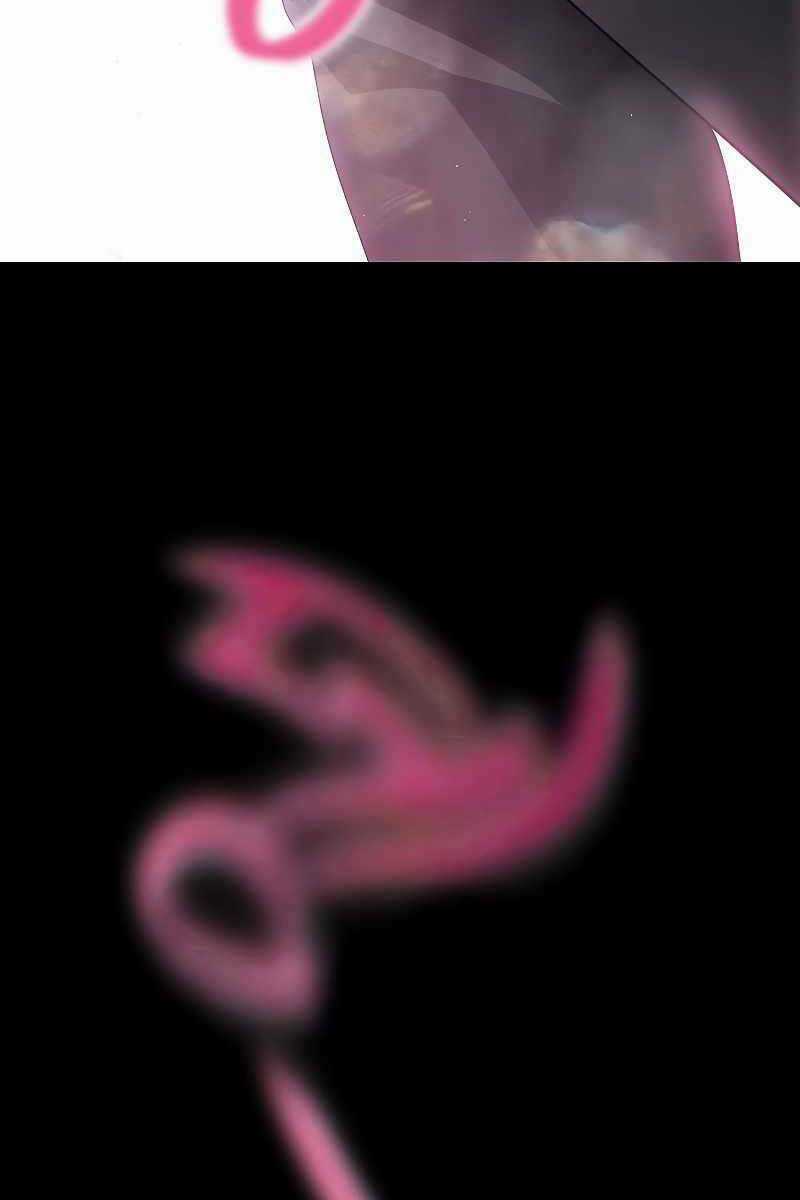 Thợ Săn Tự Sát Cấp Sss - Chapter 93 - Trang 133