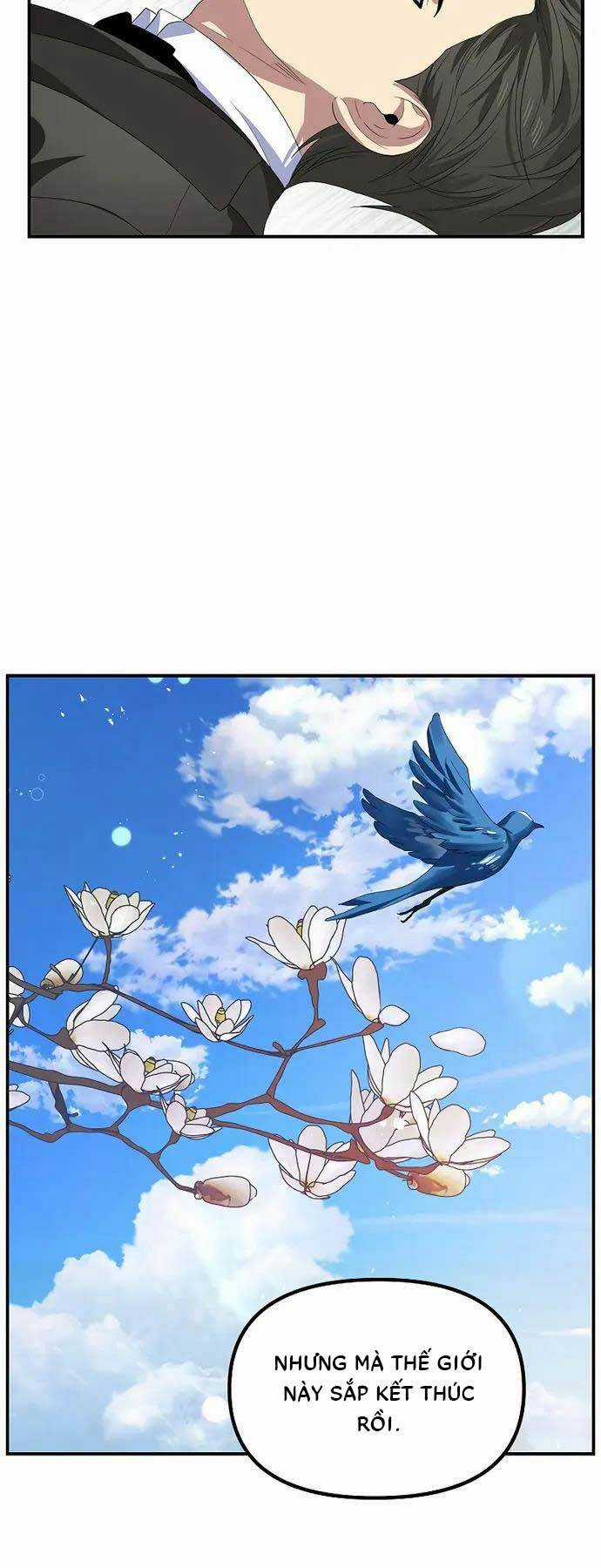 Thợ Săn Tự Sát Cấp Sss - Chapter 94 - Trang 19