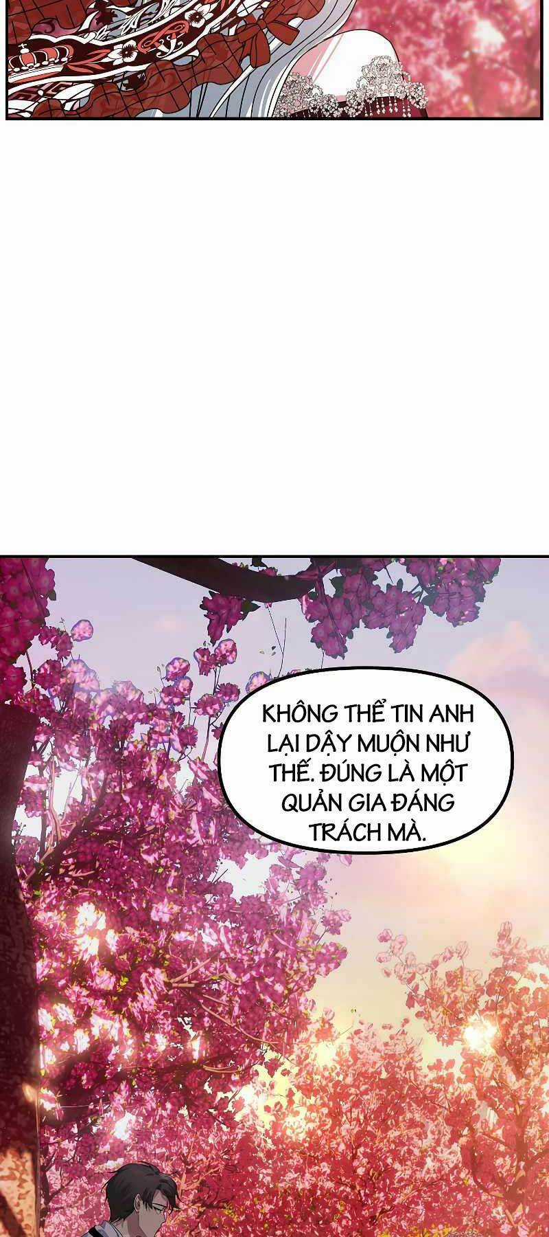 Thợ Săn Tự Sát Cấp Sss - Chapter 99 - Trang 31