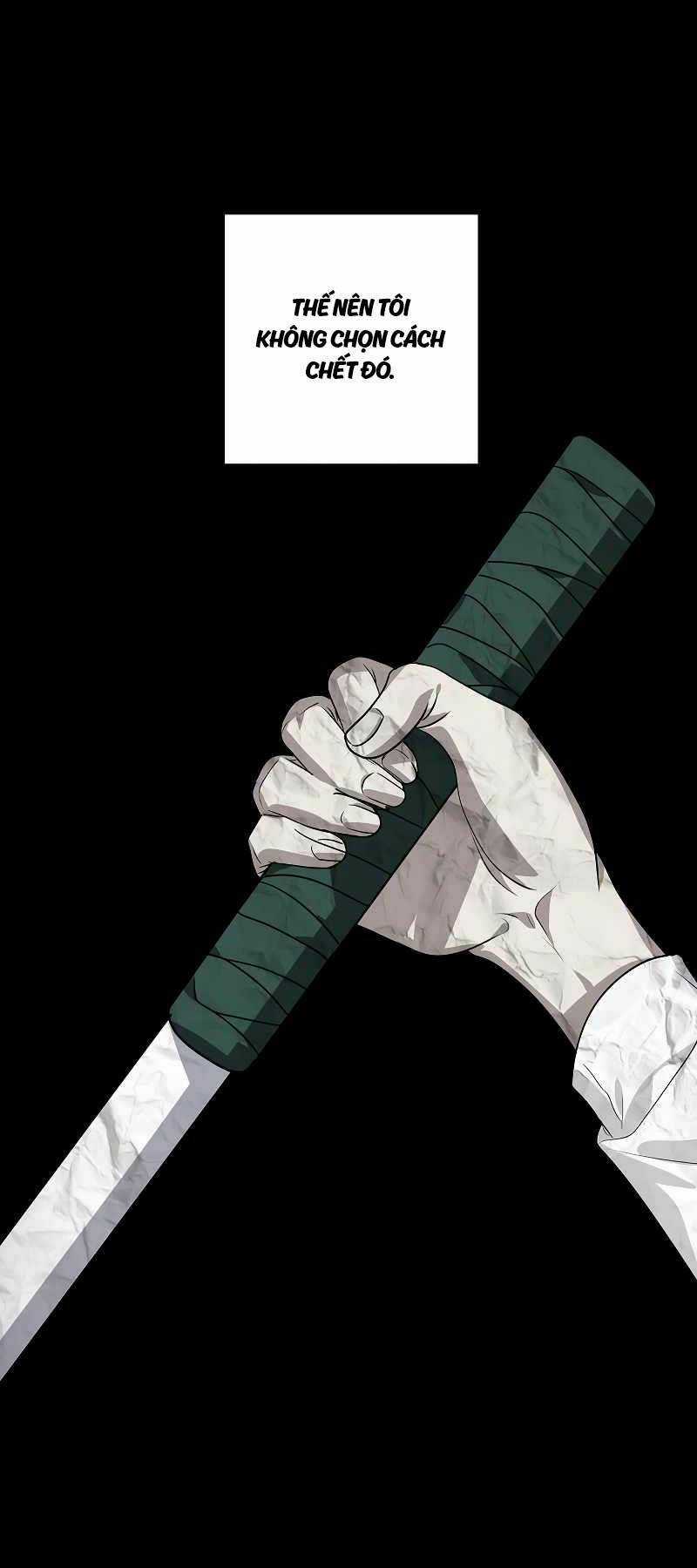 Thợ Săn Tự Sát Cấp Sss - Chapter 99 - Trang 5