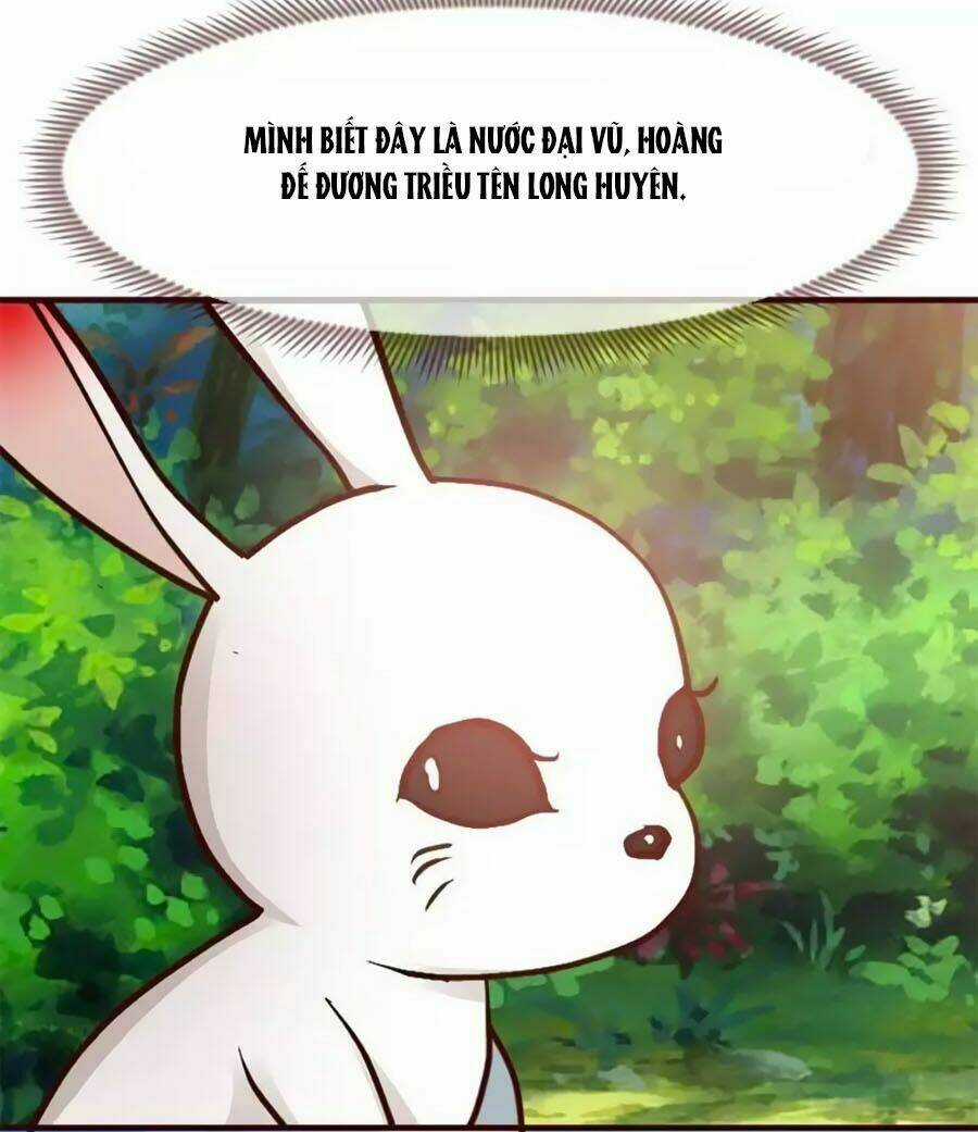 Thỏ Yêu Tiểu Vương Phi - Chapter 1 - Trang 11