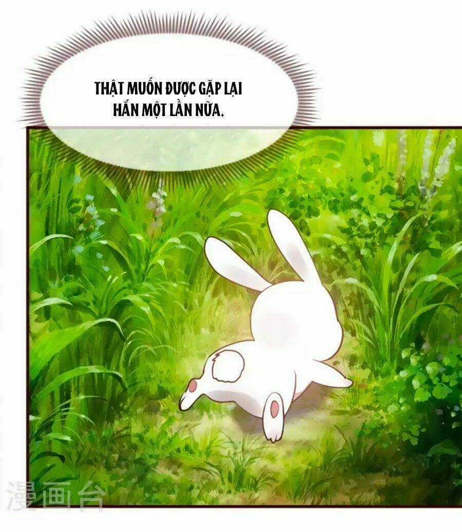 Thỏ Yêu Tiểu Vương Phi - Chapter 1 - Trang 14