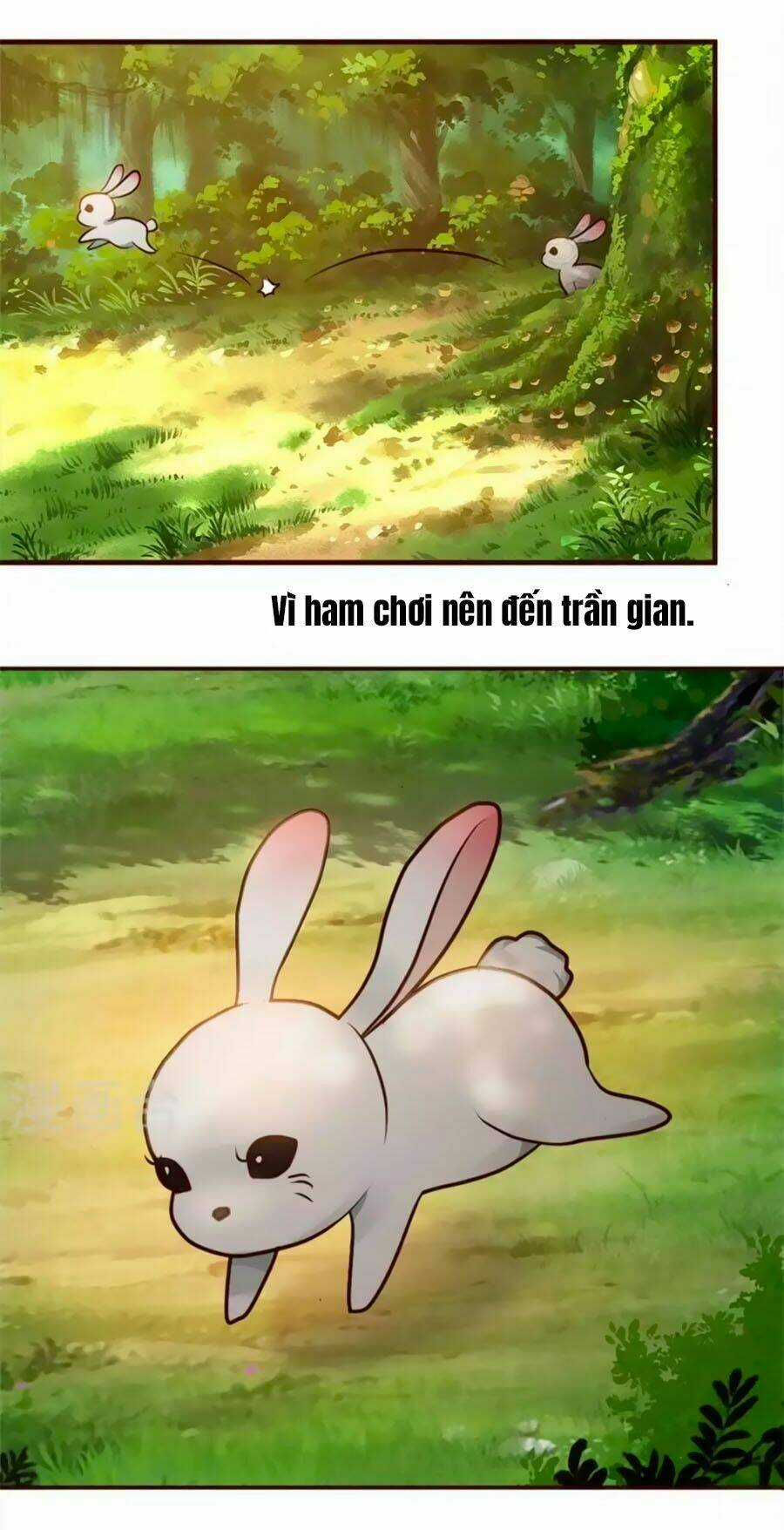 Thỏ Yêu Tiểu Vương Phi - Chapter 1 - Trang 4