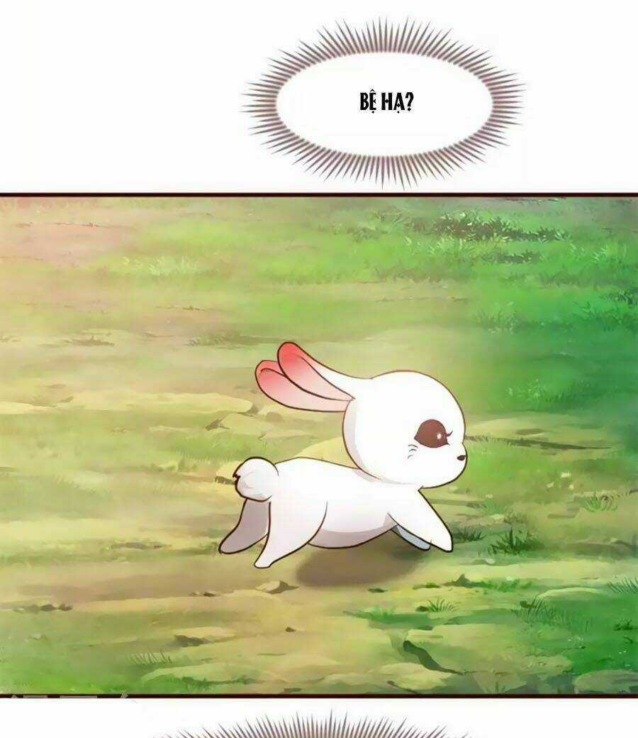 Thỏ Yêu Tiểu Vương Phi - Chapter 1 - Trang 10
