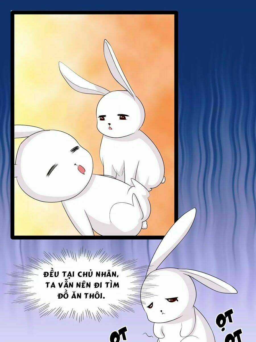 Thỏ Yêu Tiểu Vương Phi - Chapter 113 - Trang 6