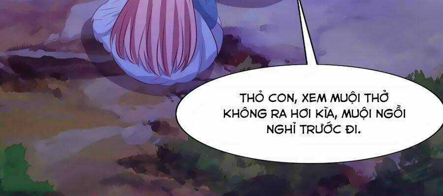 Thỏ Yêu Tiểu Vương Phi - Chapter 118 - Trang 6