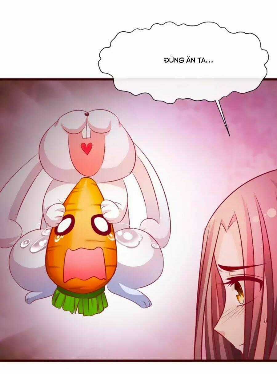 Thỏ Yêu Tiểu Vương Phi - Chapter 18 - Trang 2