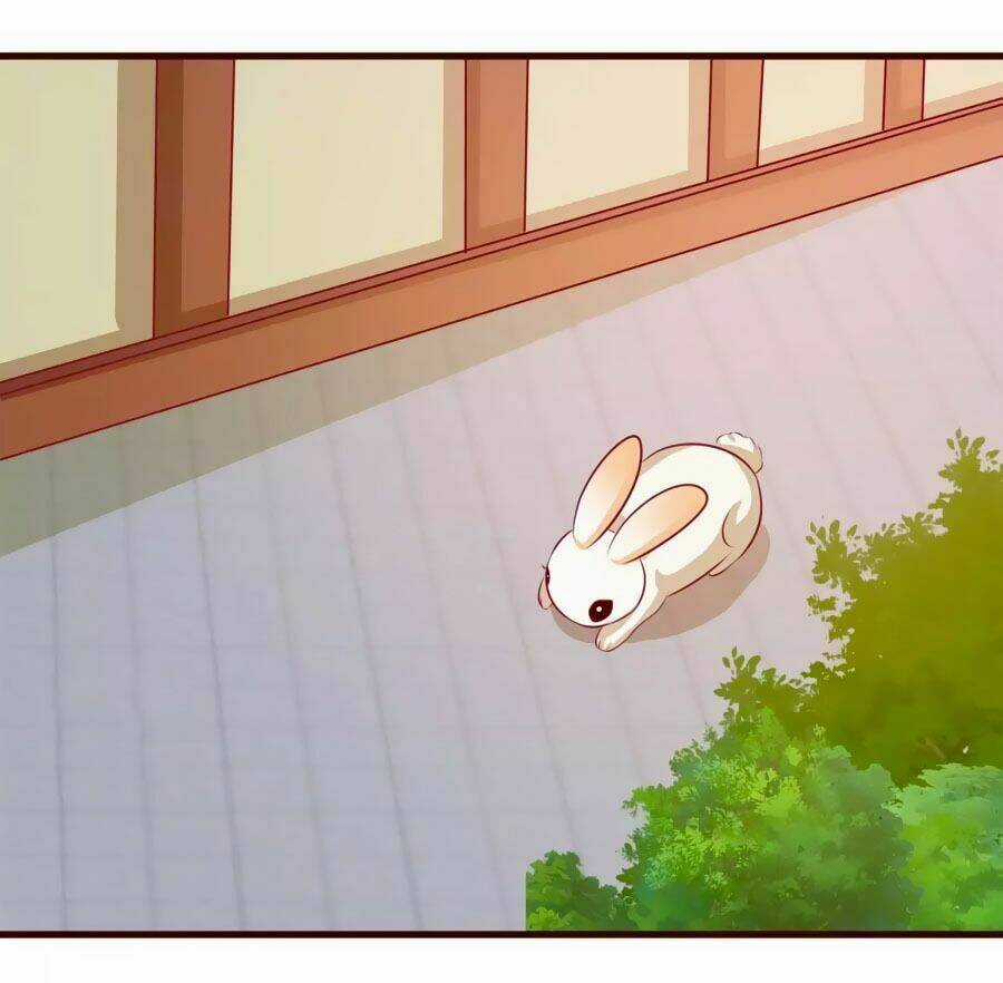 Thỏ Yêu Tiểu Vương Phi - Chapter 18 - Trang 22