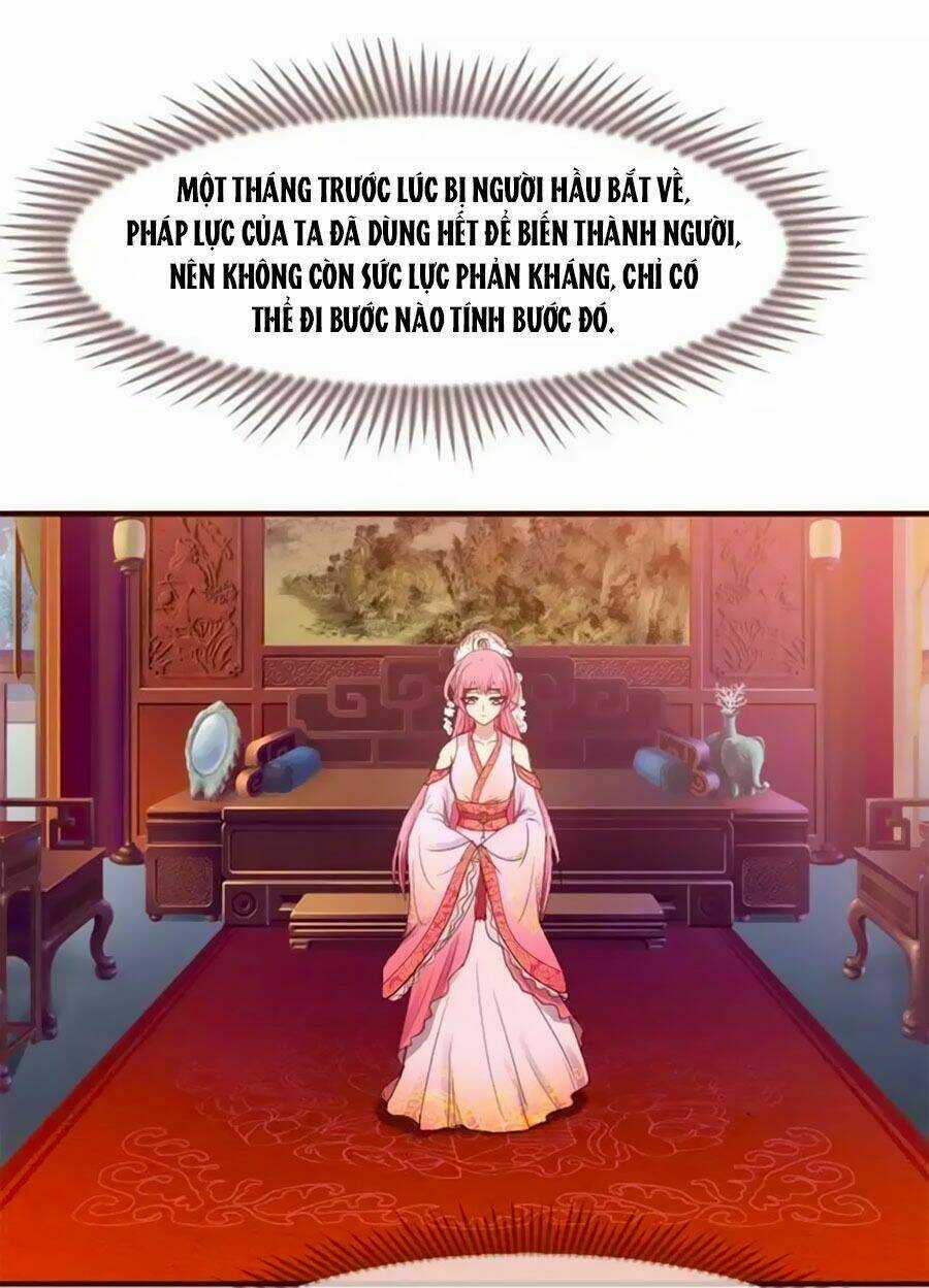 Thỏ Yêu Tiểu Vương Phi - Chapter 2 - Trang 3