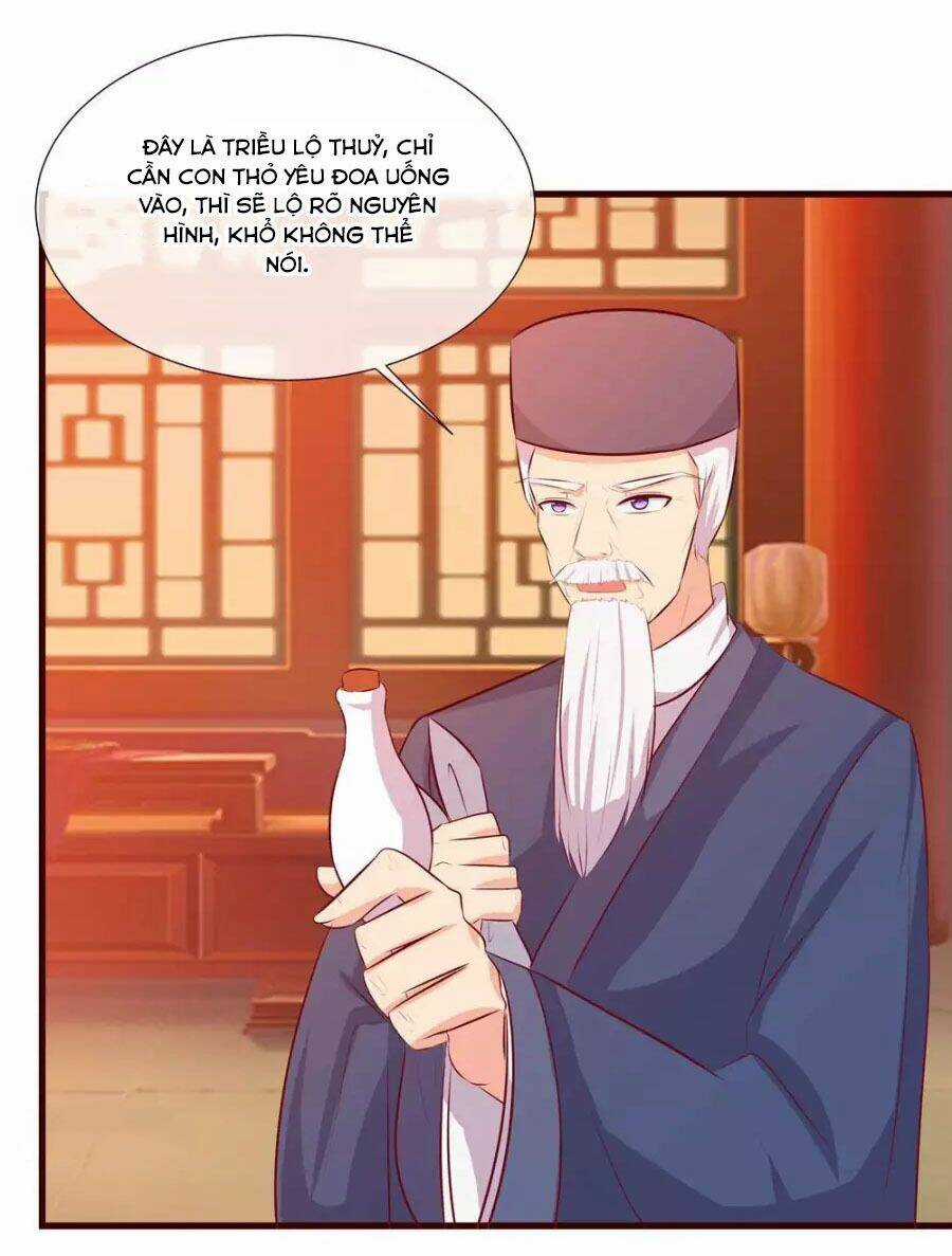 Thỏ Yêu Tiểu Vương Phi - Chapter 26 - Trang 17