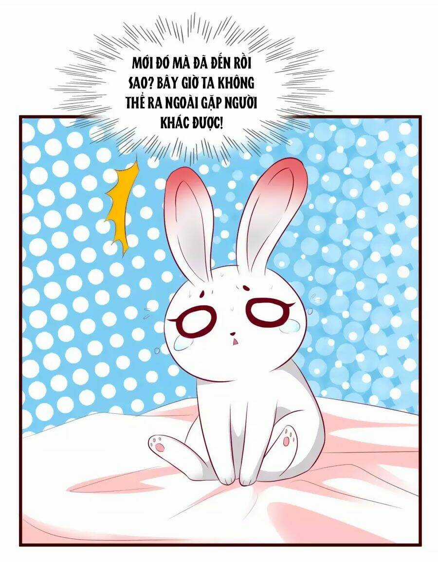 Thỏ Yêu Tiểu Vương Phi - Chapter 31 - Trang 24