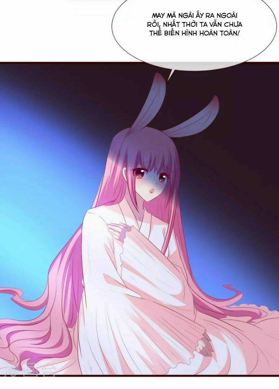 Thỏ Yêu Tiểu Vương Phi - Chapter 32 - Trang 22