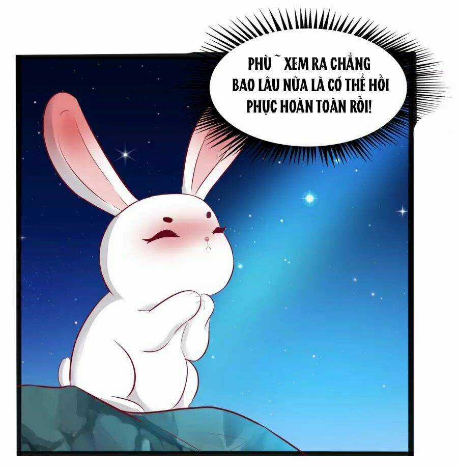 Thỏ Yêu Tiểu Vương Phi - Chapter 35 - Trang 19