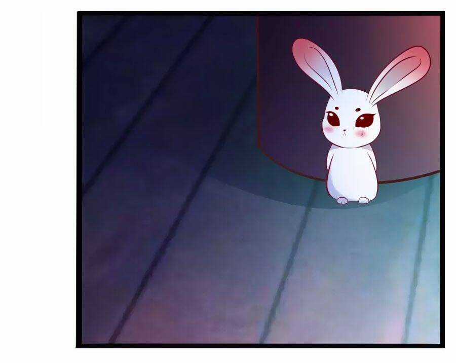 Thỏ Yêu Tiểu Vương Phi - Chapter 45 - Trang 11