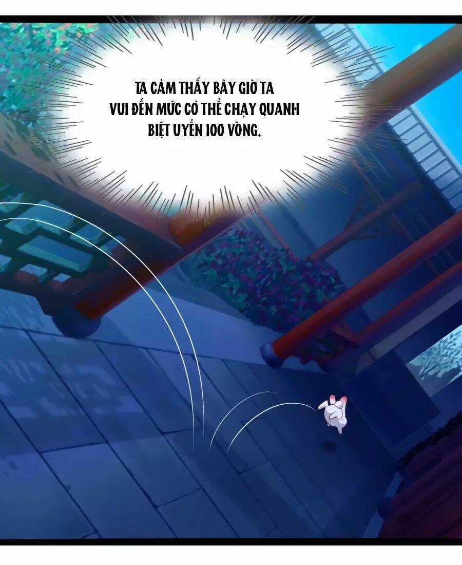 Thỏ Yêu Tiểu Vương Phi - Chapter 45 - Trang 5