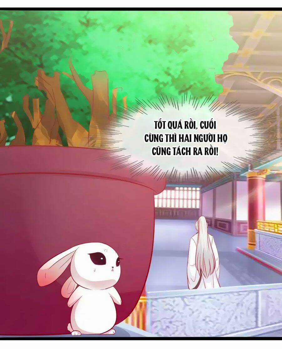 Thỏ Yêu Tiểu Vương Phi - Chapter 49 - Trang 13