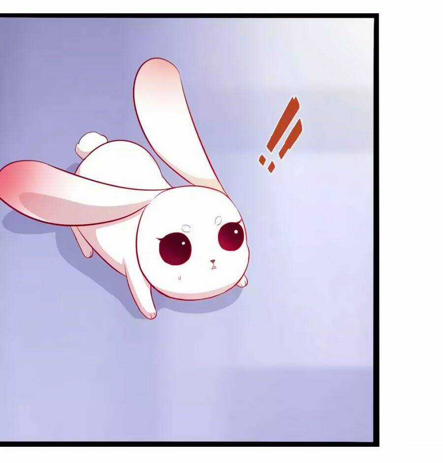 Thỏ Yêu Tiểu Vương Phi - Chapter 49 - Trang 19