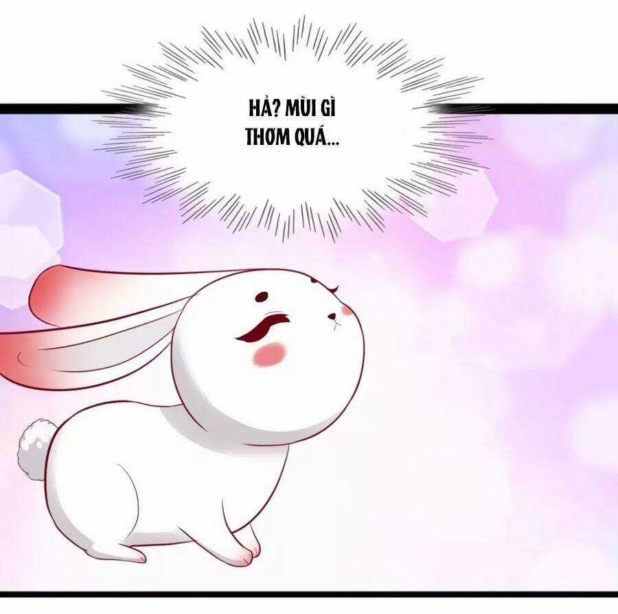 Thỏ Yêu Tiểu Vương Phi - Chapter 49 - Trang 26