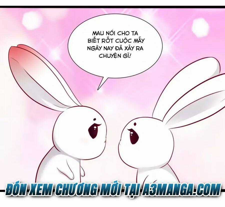 Thỏ Yêu Tiểu Vương Phi - Chapter 49 - Trang 33