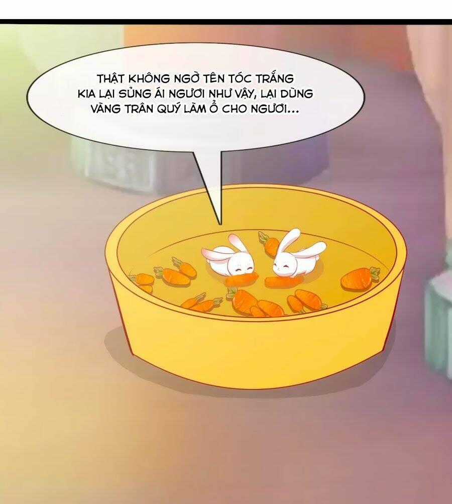 Thỏ Yêu Tiểu Vương Phi - Chapter 50 - Trang 2