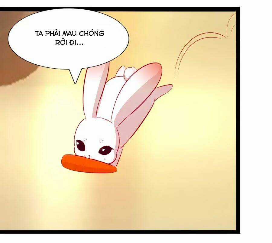 Thỏ Yêu Tiểu Vương Phi - Chapter 50 - Trang 6