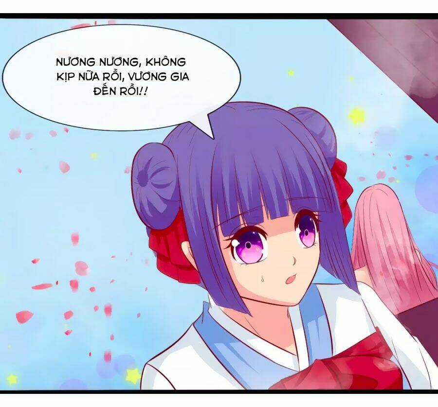 Thỏ Yêu Tiểu Vương Phi - Chapter 51 - Trang 11