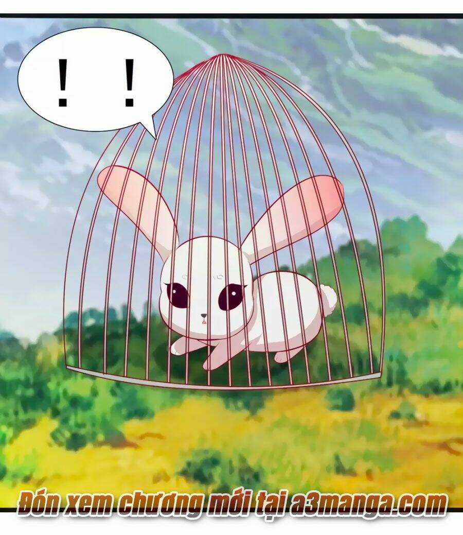 Thỏ Yêu Tiểu Vương Phi - Chapter 54 - Trang 20