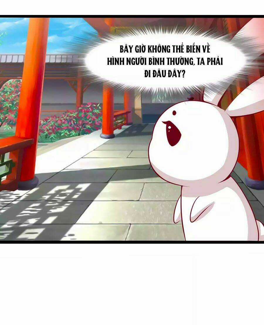 Thỏ Yêu Tiểu Vương Phi - Chapter 77 - Trang 22