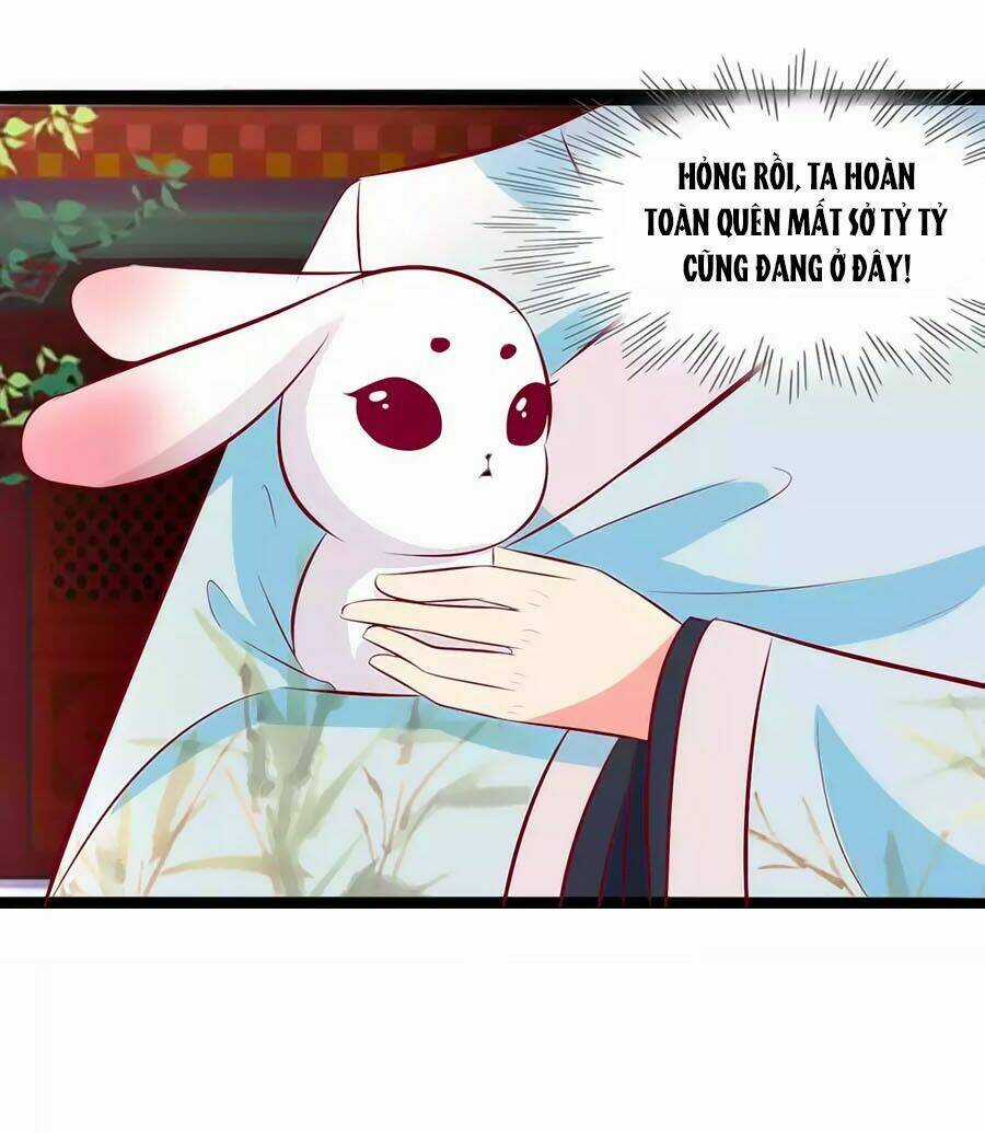 Thỏ Yêu Tiểu Vương Phi - Chapter 78 - Trang 4