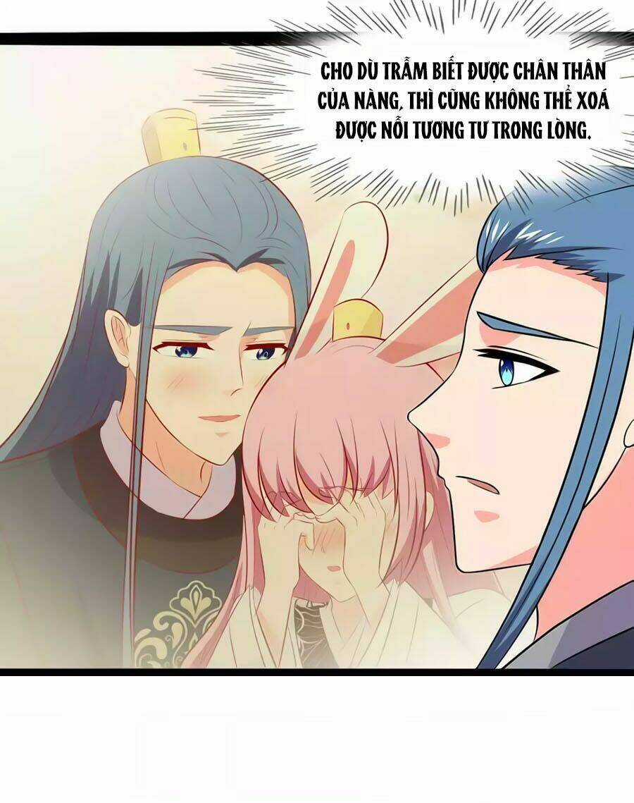 Thỏ Yêu Tiểu Vương Phi - Chapter 81 - Trang 6