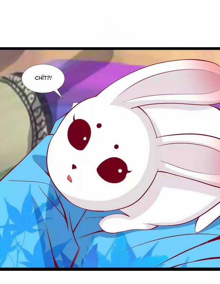 Thỏ Yêu Tiểu Vương Phi - Chapter 85 - Trang 15