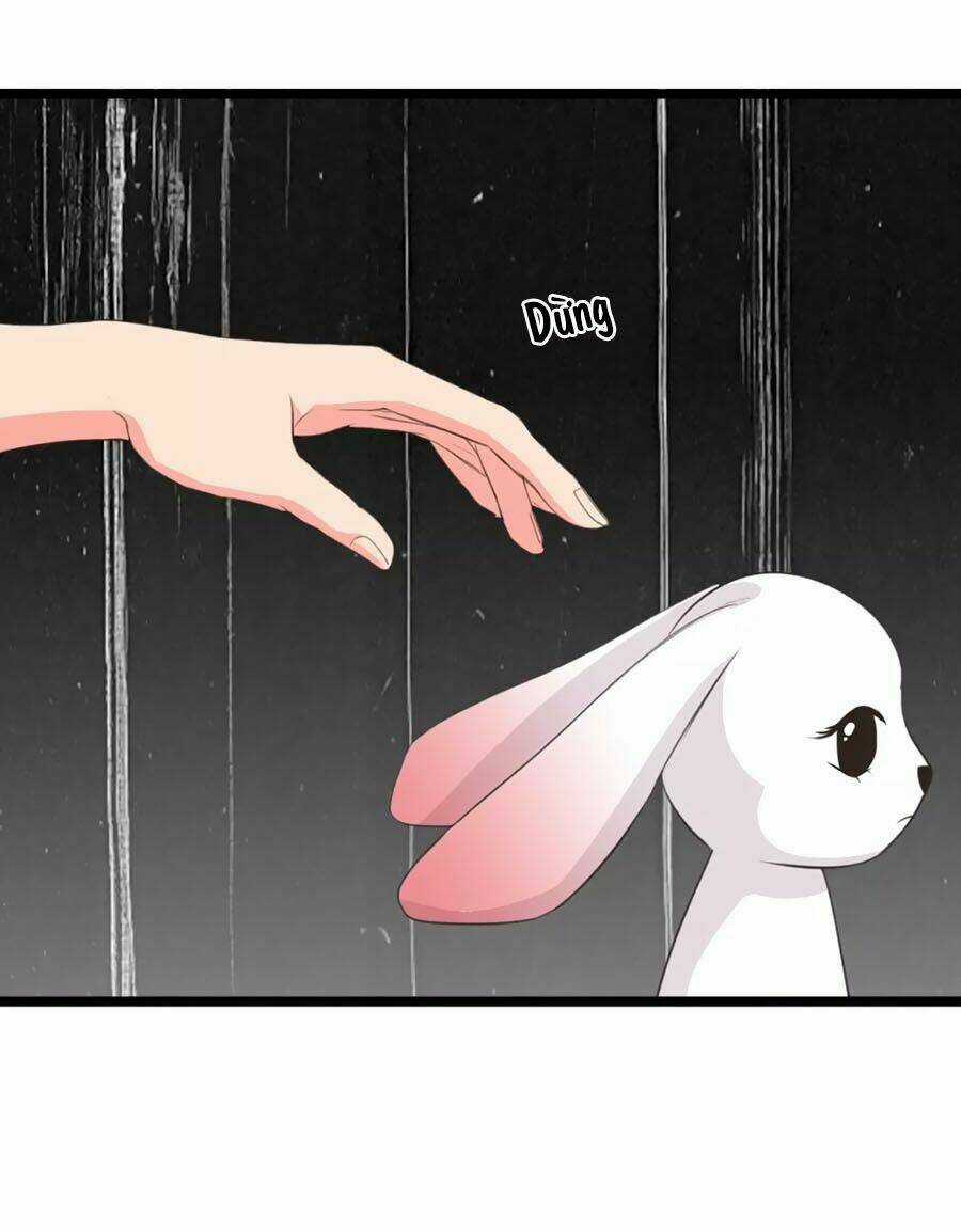 Thỏ Yêu Tiểu Vương Phi - Chapter 91 - Trang 12