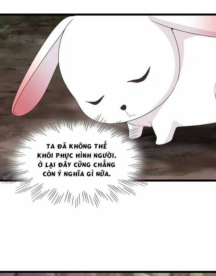 Thỏ Yêu Tiểu Vương Phi - Chapter 91 - Trang 28
