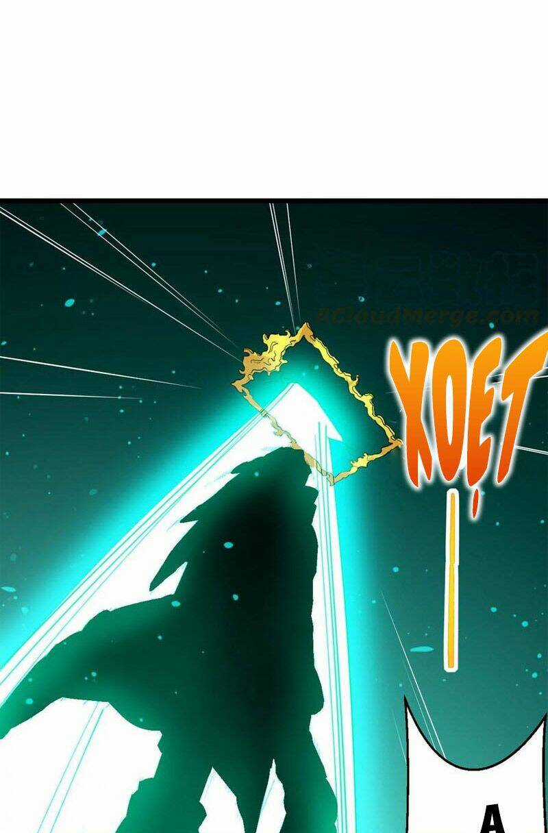 Thôn Phệ Vĩnh Hằng - Chapter 245 - Trang 17