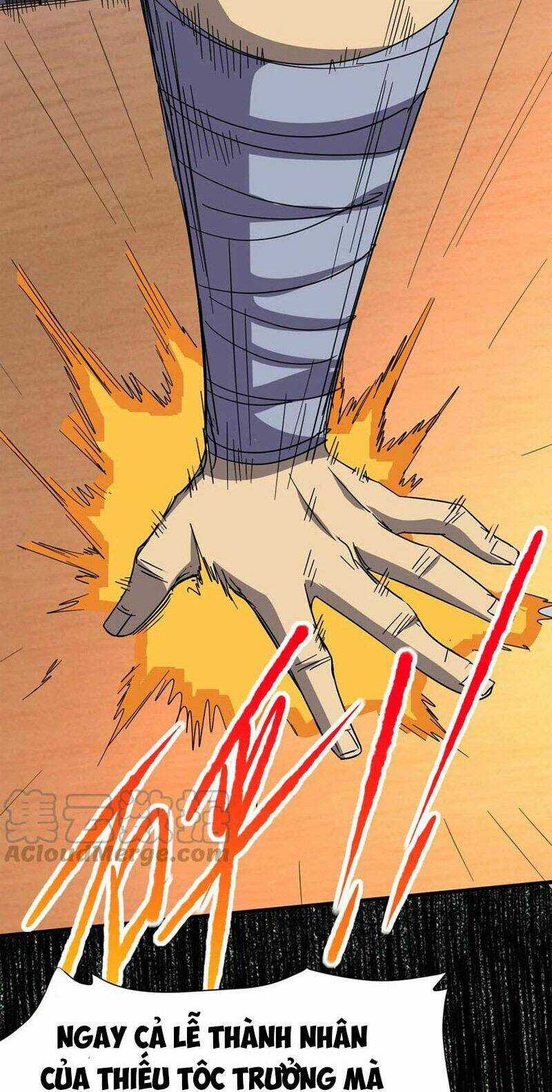 Thôn Phệ Vĩnh Hằng - Chapter 268 - Trang 26