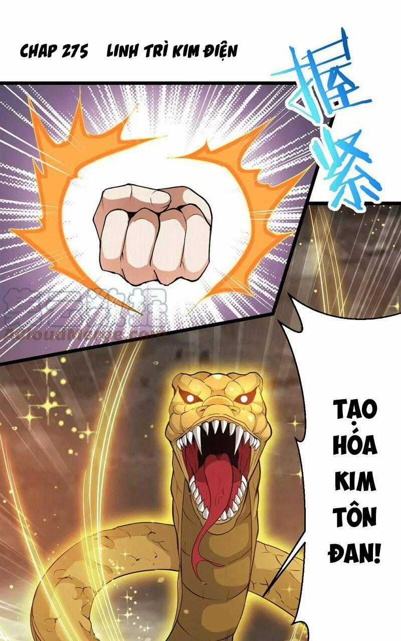 Thôn Phệ Vĩnh Hằng - Chapter 275 - Trang 1