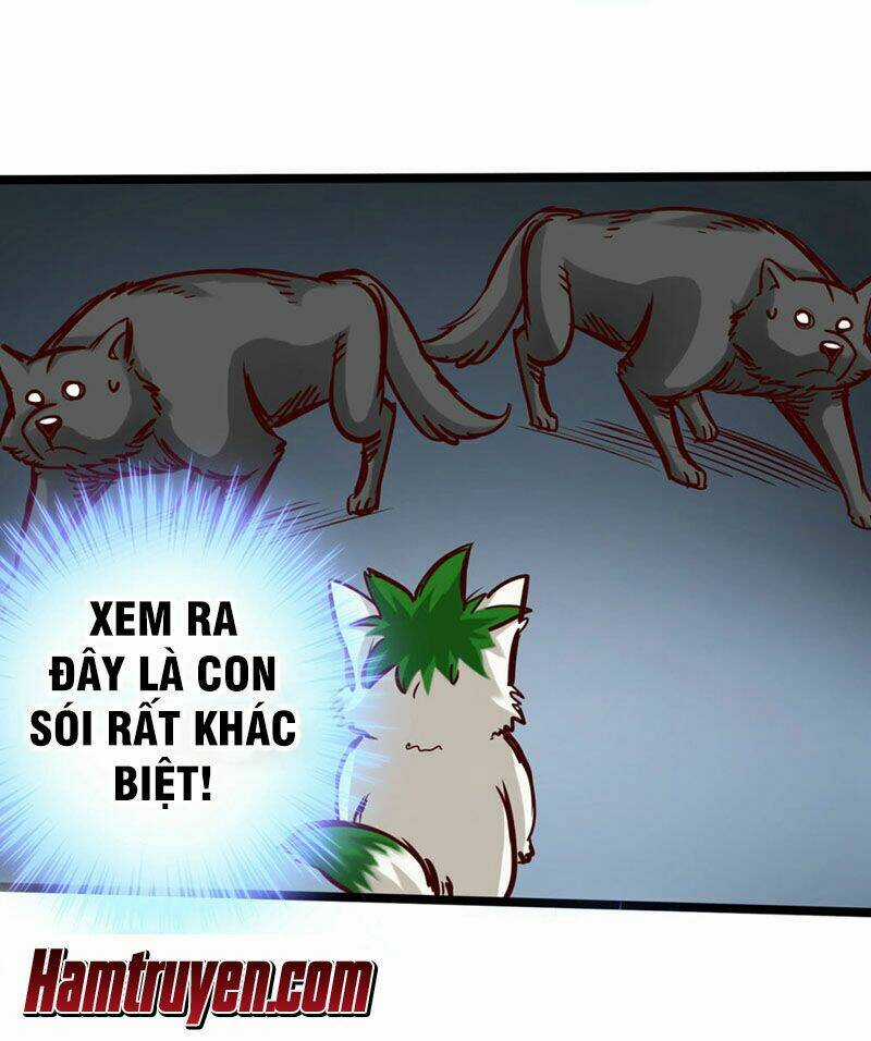 Thông Thiên Chi Lộ - Chapter 14 - Trang 35